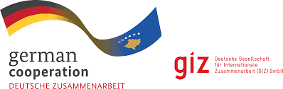 GIZ logo
